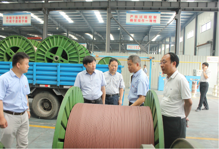 市委副書(shū)記賀家平蒞臨安邦視察調(diào)研(圖1)